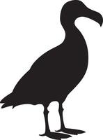 Albatros Silhouette Illustration Weiß Hintergrund vektor