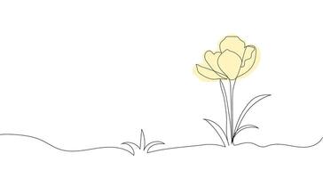 saffran blomma linje konst. hand teckning. för bakgrund, kort, inbjudan, skriva ut och Övrig design vektor