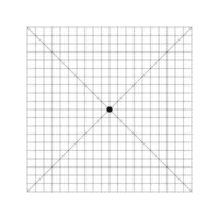 Amsler Gitter Diagramm mit Punkt im Center und diagonal Kreuz Linien. Prüfung zu Überwachung zentral visuell Feld und Erkennen Vision Defekte. ophthalmologische Diagnose Werkzeug. vektor