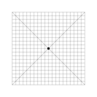 amsler rutnät Diagram med punkt i Centrum och diagonal korsa rader. testa till övervakning central visuell fält och detekterings syn defekter. oftalmologiska diagnostisk verktyg. vektor