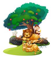 Löwenfamilie und Affe im Wald vektor