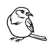 svartvit fågel isolerat illustration vektor