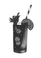 graviert Stil Illustration zum Poster, Dekoration und drucken. Hand gezeichnet skizzieren von Margarita alkoholisch Cocktail, bunt isoliert auf Weiß Hintergrund. detailliert Jahrgang Holzschnitt Stil vektor