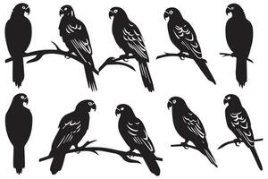 schwarz Silhouette einstellen von Papagei auf ein Weiß Hintergrund vektor