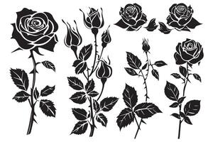 einstellen von drei schwarz Silhouetten von Rose Blumen isoliert auf ein Weiß Hintergrund. minimalistisch Hand gezeichnet skizzieren. Lager Illustration vektor