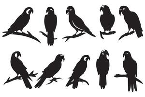 einstellen von Silhouetten von Papageien. Sammlung von tropisch Vögel von das Amazonas Dschungel. inländisch Papagei auf ein sitzen auf ein stand.illustration auf ein Weiß Hintergrund vektor