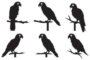 schwarz Silhouette einstellen von Papagei auf ein Weiß Hintergrund vektor