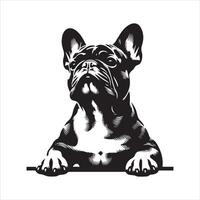 ein stoisch Französisch Bulldogge Gesicht illustriert im schwarz und Weiß vektor