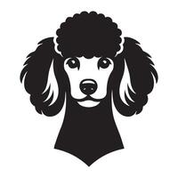 pudel hund - en vaksam pudel hund ansikte illustration i svart och vit vektor