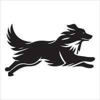 australisch Schäfer - - ein australisch Schäfer Hund Laufen Illustration im schwarz und Weiß vektor