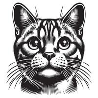 Illustration von amerikanisch kurzes Haar Katze Gesicht im ein neugierig Ausdruck Logo Konzept vektor