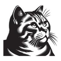 Katze Clip Art - - nachdenklich amerikanisch kurzes Haar Katze Gesicht Illustration vektor