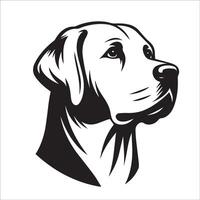 hund ansikte logotyp - en labrador retriever stolt ansikte illustration på en vit bakgrund vektor