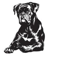 Boxer Hund - - ein ungeduldig Boxer Hund Illustration im schwarz und Weiß vektor