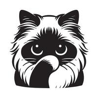 Katze Gesicht - - schüchtern Ragdoll Katze Gesicht Illustration im schwarz und Weiß vektor