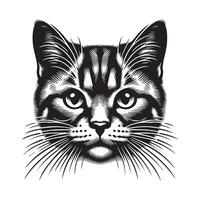 svart och vit morrhår amerikan kort hår katt ansikte illustration vektor
