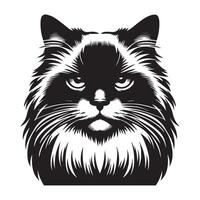 Katze Clip Art - - Stern Ragdoll Katze Gesicht Illustration auf ein Weiß Hintergrund vektor