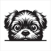 hund ansikte logotyp - en shih tzu hund förvirrad ansikte illustration i svart och vit vektor