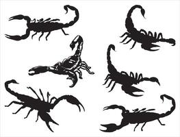 Skorpion-Silhouette auf weißem Hintergrund vektor