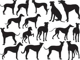 vinthund hundar silhuett på vit bakgrund vektor