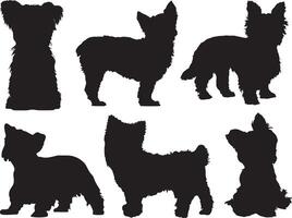 yorkshire terrier hundar silhuett på vit bakgrund vektor