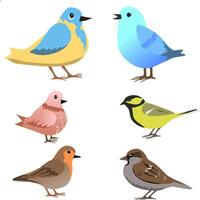 uppsättning av vår fåglar. tecknad serie illustration i barnslig stil. annorlunda fåglar. bilder är isolerat på vit. . illustration vektor