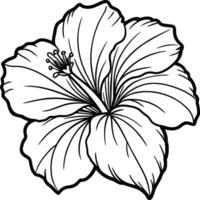 Hibiskus Blume Färbung Seiten. Blume Linie Kunst vektor