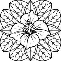 Hibiskus Blume Färbung Seiten. Blume Linie Kunst vektor