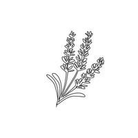 einzelne durchgehende Linienzeichnung von Schönheit frischer Lavandula für das Gartenlogo. druckbare dekorative Lavendelblume für Hauptwanddekor-Kunstplakatdruck. moderne eine linie zeichnen design-vektorillustration vektor