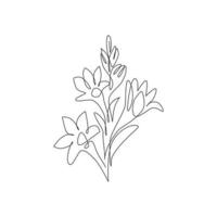 Single One Line Drawing of Beauty Fresh Agave Amica für Gartenlogo. dekoratives Tuberose-Blumenkonzept für Hauskunstwanddekor-Plakatdruck. moderne durchgehende Linie zeichnen Design-Vektor-Illustration vektor