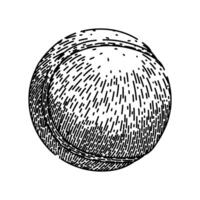 Schläger Tennis Ball skizzieren Hand gezeichnet vektor