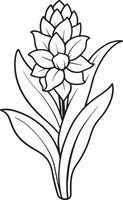 hyacint blomma svart och vit illustration i vit bakgrund vektor