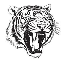 huvud av morrande tiger hand dragen skiss illustration vektor