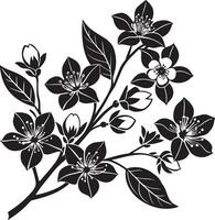 sakura gren med blommor och löv. svart och vit illustration. vektor