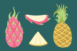 Illustration von tropisch Früchte einschließlich Ananas, Drachen Frucht, Pitaya Scheibe, und Limette Scheibe. beschwingt, bunt, und frisch, perfekt zum Themen von gesund Essen, Sommer, und exotisch Lebensmittel. vektor