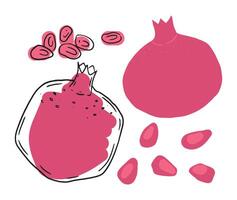 ein beschwingt Illustration von ein Granatapfel, präsentieren ganze und geschnitten Ansichten mit verstreut Samen. das handgemalt, eben Design Eigenschaften Fett gedruckt rot und Rosa Farbtöne, perfekt zum kreativ und kulinarisch vektor