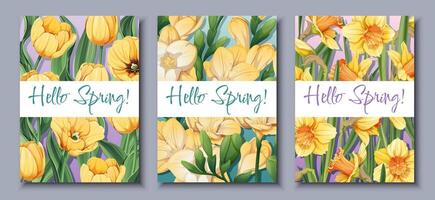 tre gul blomma kort med Hej vår i blommig font vektor