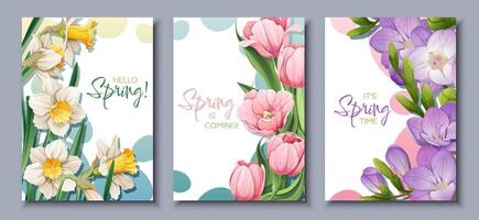 ein einstellen von drei Karten mit Blumen und das Wörter Frühling ist Kommen vektor