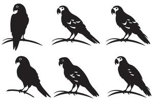 svart silhuett uppsättning av papegoja på en vit bakgrund fri design vektor