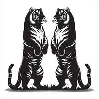 två tigrar på deras hind ben, svart Färg silhuett vektor