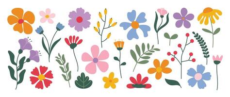 samling av vår färgrik blomma element . uppsättning blommig av vild blomma, blad gren, lövverk på vit bakgrund. hand dragen blomma illustration för dekor, påsk, klistermärke, ClipArt, skriva ut. vektor