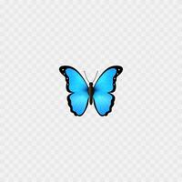 Blau Schmetterling Emoji. isoliert auf Weiß. schön Schmetterling realistisch Symbol. vektor