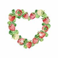 vattenfärg jordgubbar hjärta krans, röd bär vektor