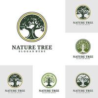 einstellen von Baum Logo Design . Natur Bäume Illustration. Eiche Baum Logo Konzept vektor