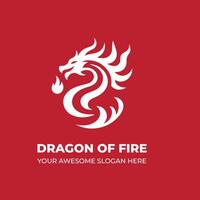 genial von Feuer Drachen Logo vektor