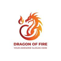 genial von Feuer Drachen Logo vektor