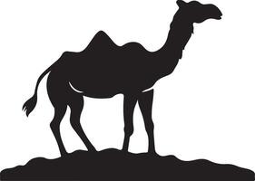platt design kamel siluett, kamel grafisk ikon. kamel svart tecken isolerat på vit bakgrund. kamel symbol av öken. illustration vektor