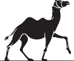 eben Design Kamel Silhouette, Kamel Grafik Symbol. Kamel schwarz Zeichen isoliert auf Weiß Hintergrund. Kamel Symbol von Wüste. Illustration vektor