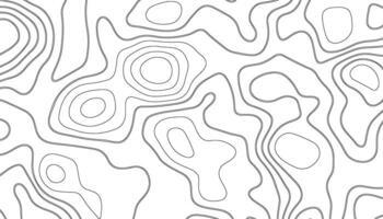 abstrakt mönster med rader. bakgrund av de topografisk Karta. elevation konturering översikt kartografi textur. geografisk abstrakt rutnät. trogen trådmodell landskap bakgrund. vektor
