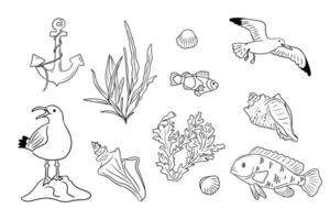 Sommer- Strand Gekritzel einstellen mit Möwen und unter Wasser Leben. Sammlung von skizzenhaft Kontur Zeichnungen isoliert auf Weiß Hintergrund. einfarbig schwarz Gliederung Aufkleber vektor